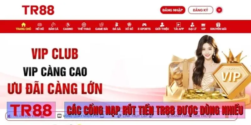 Các cổng nạp rút tiền TR88 được dùng nhiều