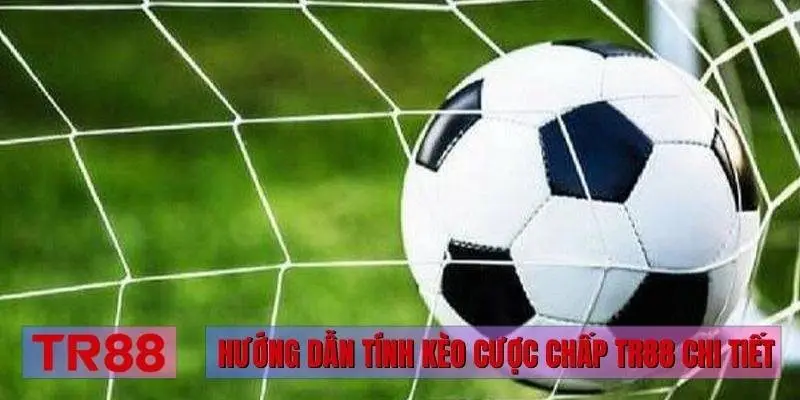 Hướng dẫn tính kèo cược chấp TR88 chi tiết